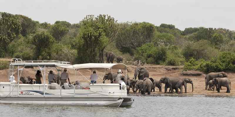 Queen Elizabeth National Park Walking Safaris and Canoeing, Queen Elizabeth National Park