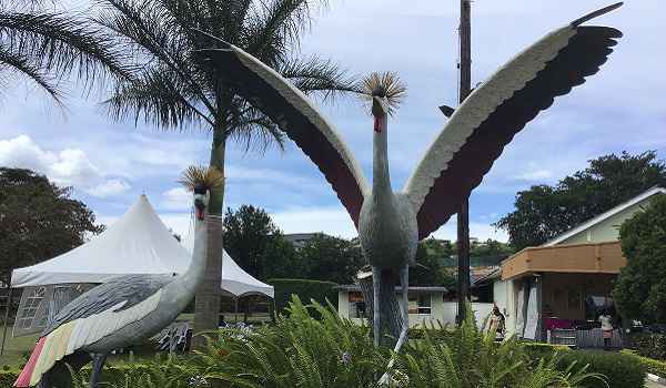 Best Meal Stopovers On a Road Trip in Uganda. road trip, Best Meal Stopovers on a Road Trip in Uganda