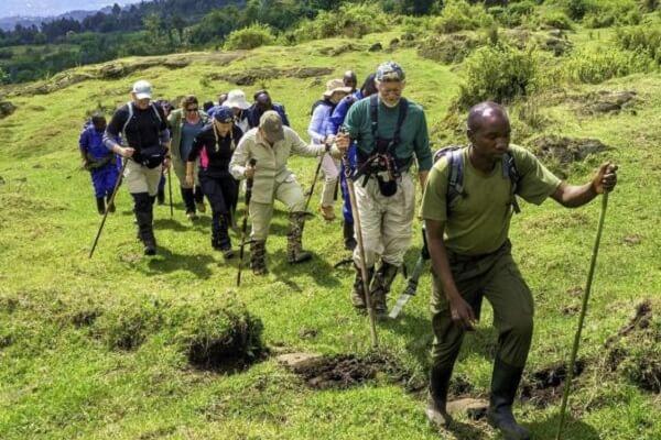My Bucket List of Things to do in Rwanda Bwindi Impenetrable Forest National Park, things to do in Rwanda
