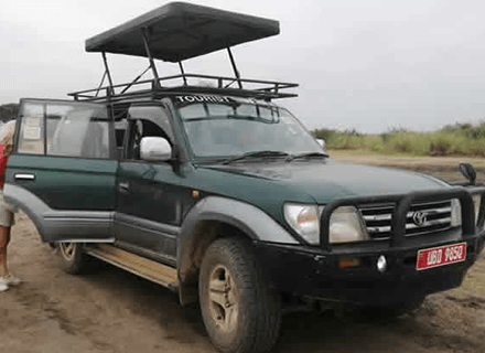 Chauffeur Hire Car Kigali, Discount Self Drive Kigali, Toyota Fortuner Rental Kigali, Kigali Camping Car Rental: Rooftop Tent Hire for Nature Trips in Rwanda Wedding Car Rental in Kigali: Elegant Car Hire in Rwanda Adventure Car Rental in Rwanda: Rooftop Tent Hire in Rwanda
