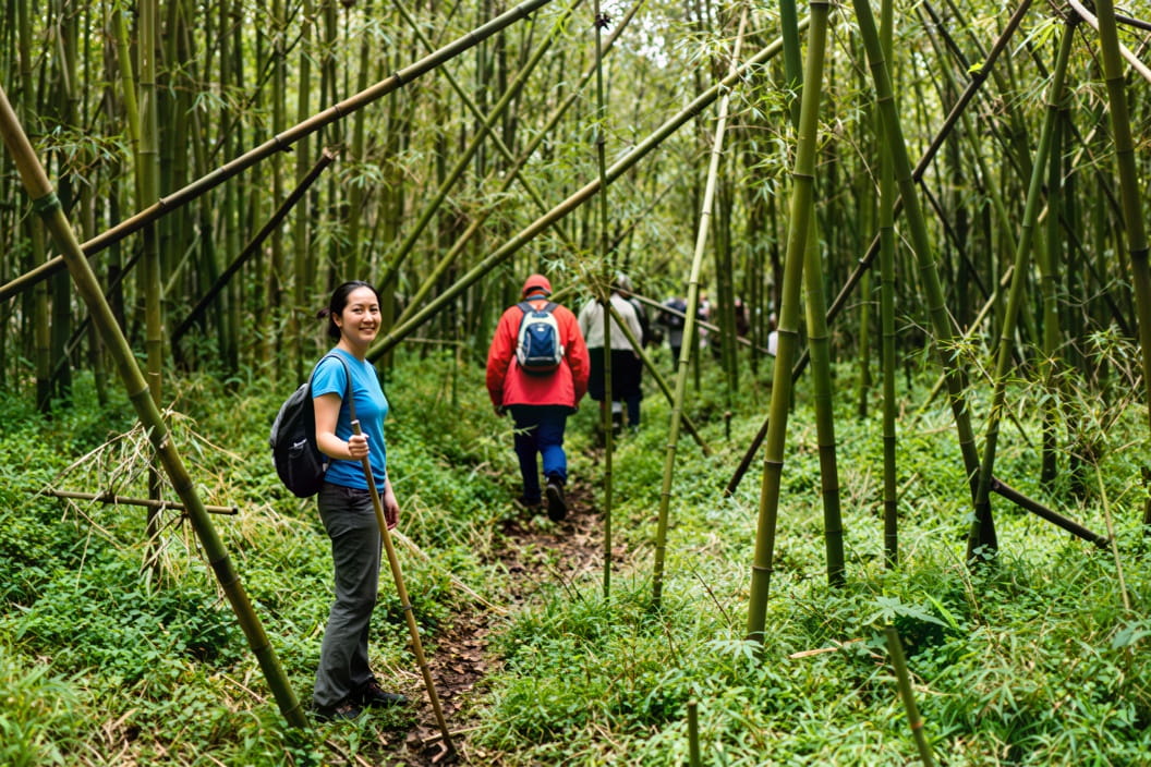 6 Days Rwanda Gorilla Safari