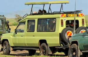 Read more about the article Why the Extended Safari Land Cruiser Is Every Traveler’s Best Friend in Rwanda.
